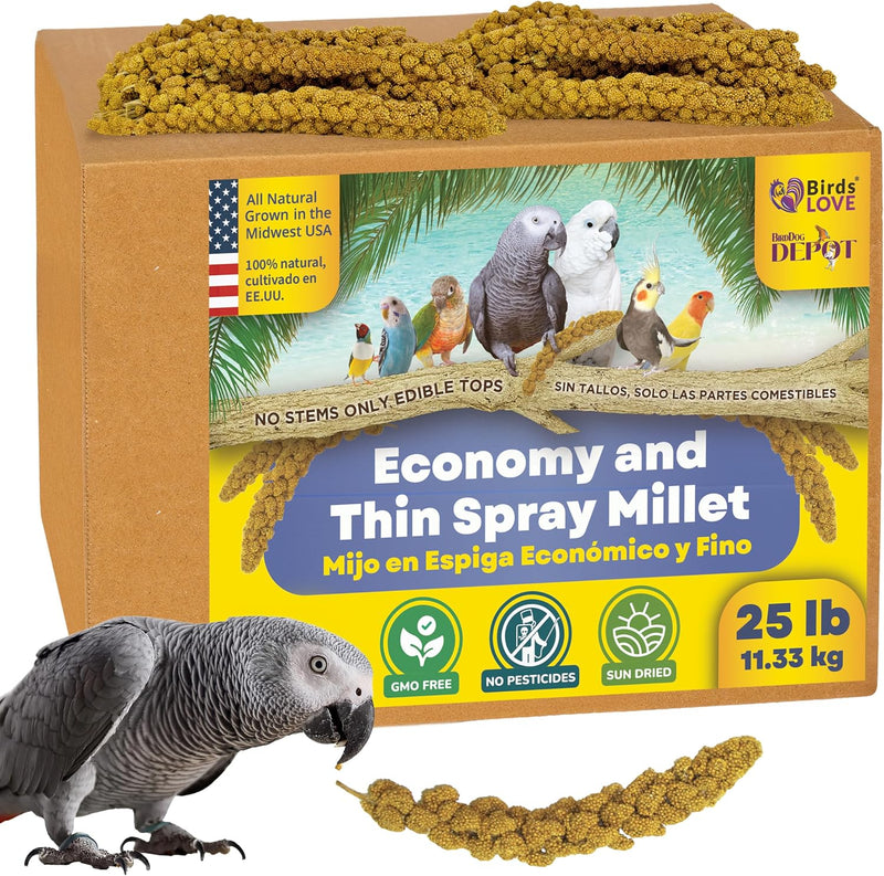 25lbs Economy & Special Spray Millet for Birds - GMO-Free, No Stems (Only Edible Tops) - 100% Natural Sun-Dried Foraging Treat for Cockatiels, Lovebirds, Parakeets, Finches & Canaries