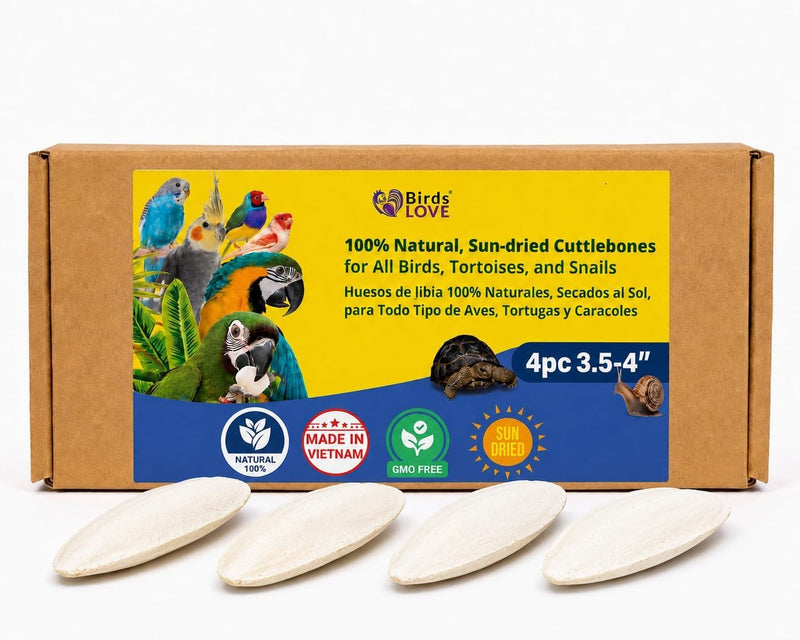 Birds LOVE Natural Cuttlebone - 4 Pack, 3.5-4"