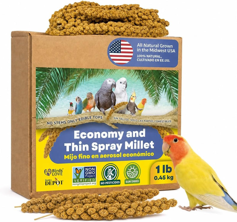 1lb Economy & Special Spray Millet for Birds - GMO-Free, No Stems (Only Edible Tops) - 100% Natural Sun-Dried Foraging Treat for Cockatiels, Lovebirds, Parakeets, Finches & Canaries