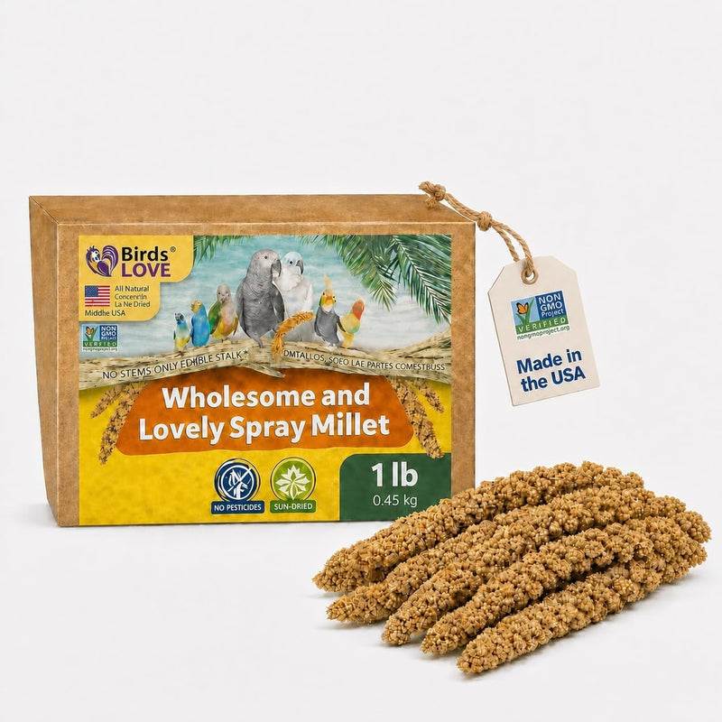 Birds LOVE 1 LB Wholesome Spray Millet for Birds - USA Grown, Non-GMO, Natural Sun-Dried Millet Sprays - Thick Seed-Rich Clusters for Parakeets, Budgies, Cockatiels, Conures, Finches & Parrots
