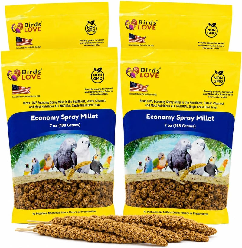 Birds LOVE Economy Spray Millet for Birds, 7 oz, GMO-Free Natural Bird Treat, Stem-Reduced Millet Tops, USA Grown Spray Millet for Parakeets, Cockatiels, Lovebirds, Finches, Canaries - Pack of 4
