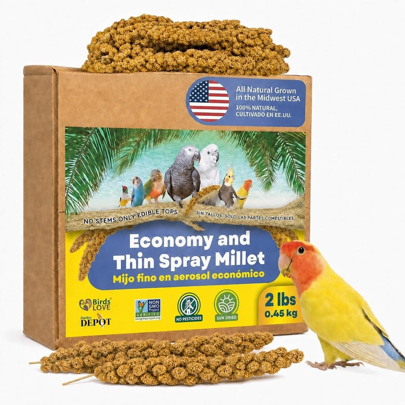 2lbs Economy & Special Spray Millet for Birds - GMO-Free, No Stems (Only Edible Tops) - 100% Natural Sun-Dried Foraging Treat for Cockatiels, Lovebirds, Parakeets, Finches & Canaries