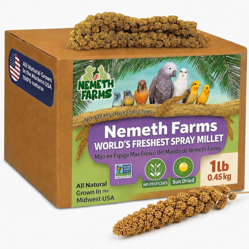 Nemeth Farms Spray Millet - Edible Tops Only, Non-GMO and Sun-Dried - 1 lb for Parakeets, Canaries and Finches