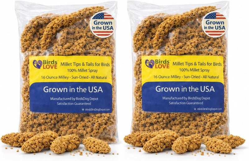 Birds LOVE Millet Tips & Tails for Birds - Spray Millet Treat, Non-GMO, USA Grown - Natural Bird Food for Parakeets, Cockatiels, Budgies, Lovebirds, Finches, Canaries & Parrots - 1 lb, 2 Pack