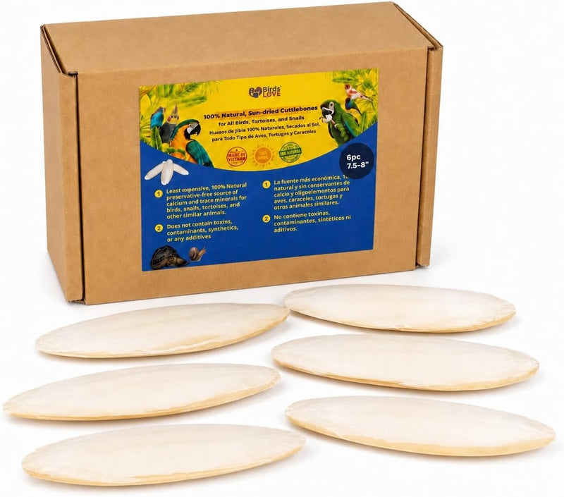 Birds LOVE Natural Cuttlebone - 6 Pack, 7.5-8"