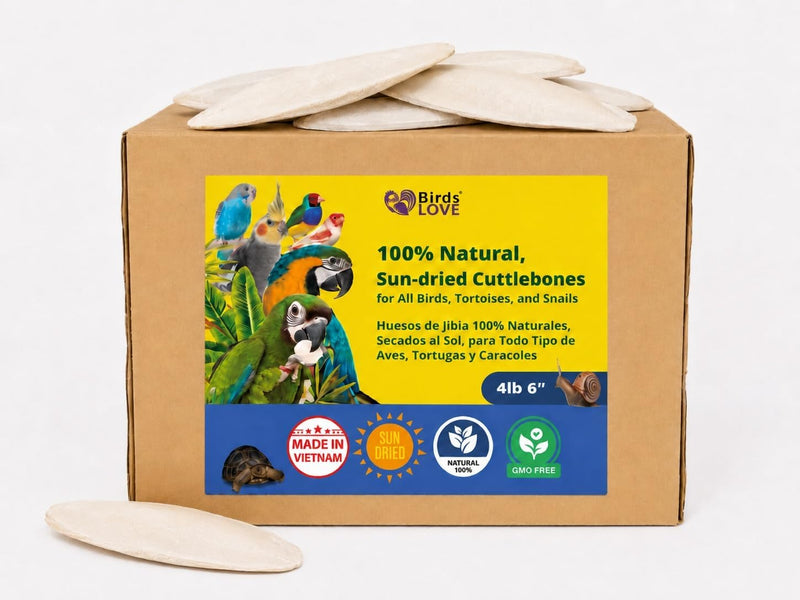 Birds LOVE Natural Cuttlebone - 4 lb bulk, 5.5-6"