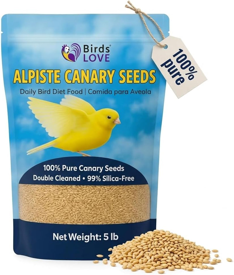 Birds LOVE Pure Alpiste Canary Seed Double Cleaned 5lb