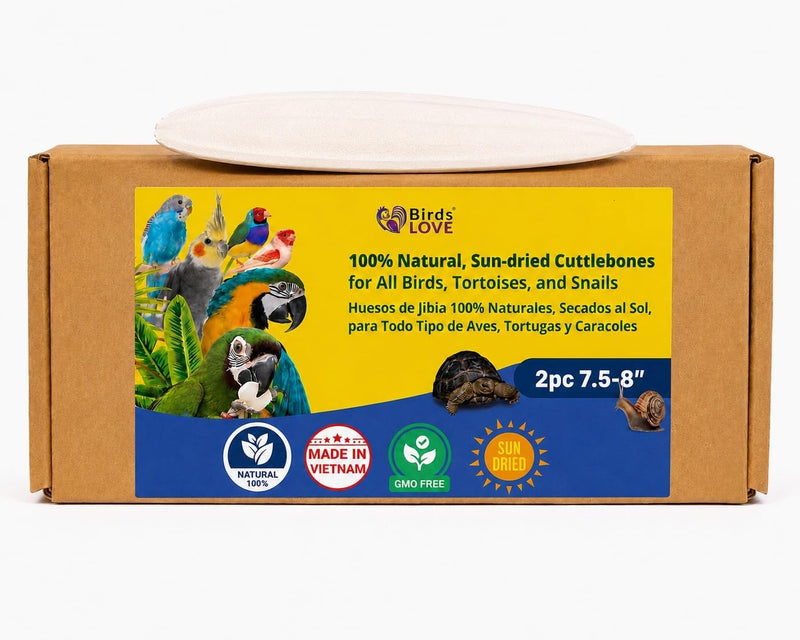 Birds LOVE Natural Cuttlebone - 2 Pack, 7.5-8"
