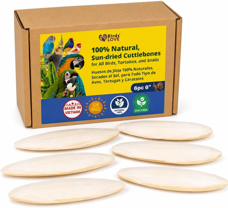 Birds LOVE Natural Cuttlebone - 6 Pack, 5.5-6"