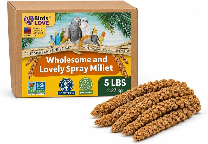 Birds LOVE 5 LB Wholesome Spray Millet for Birds - USA Grown, Non-GMO, Natural Sun-Dried Millet Sprays - Thick Seed-Rich Clusters for Parakeets, Budgies, Cockatiels, Conures, Finches & Parrots