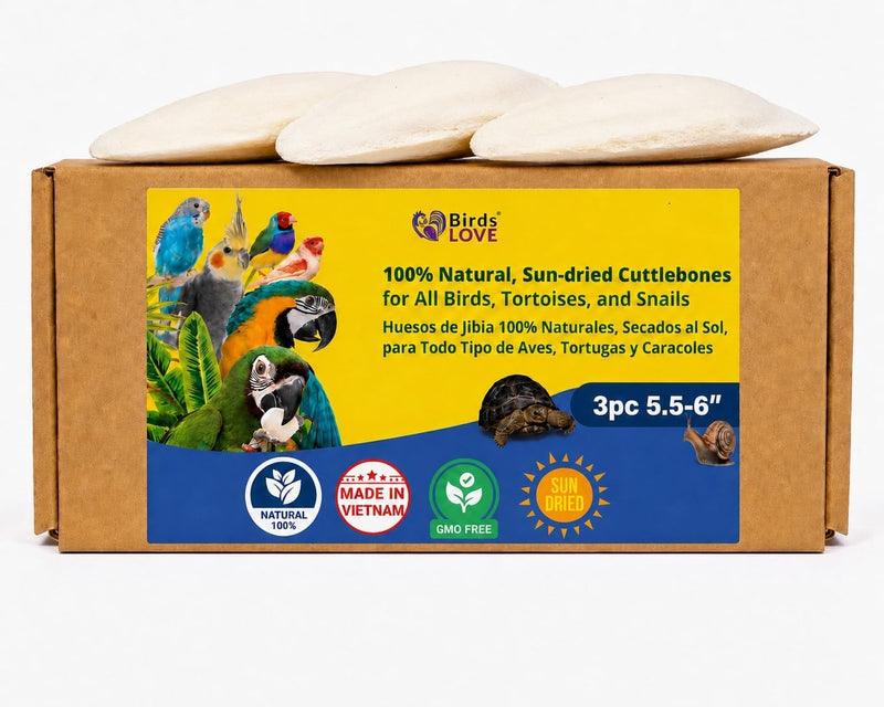 Birds LOVE Natural Cuttlebone - 3 Pack, 5.5-6"