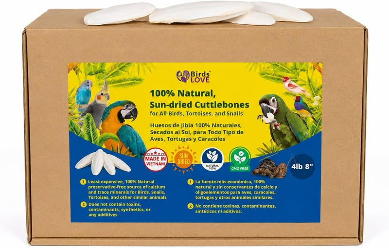 Birds LOVE Natural Cuttlebone - 4 lb bulk, 7.5-8"