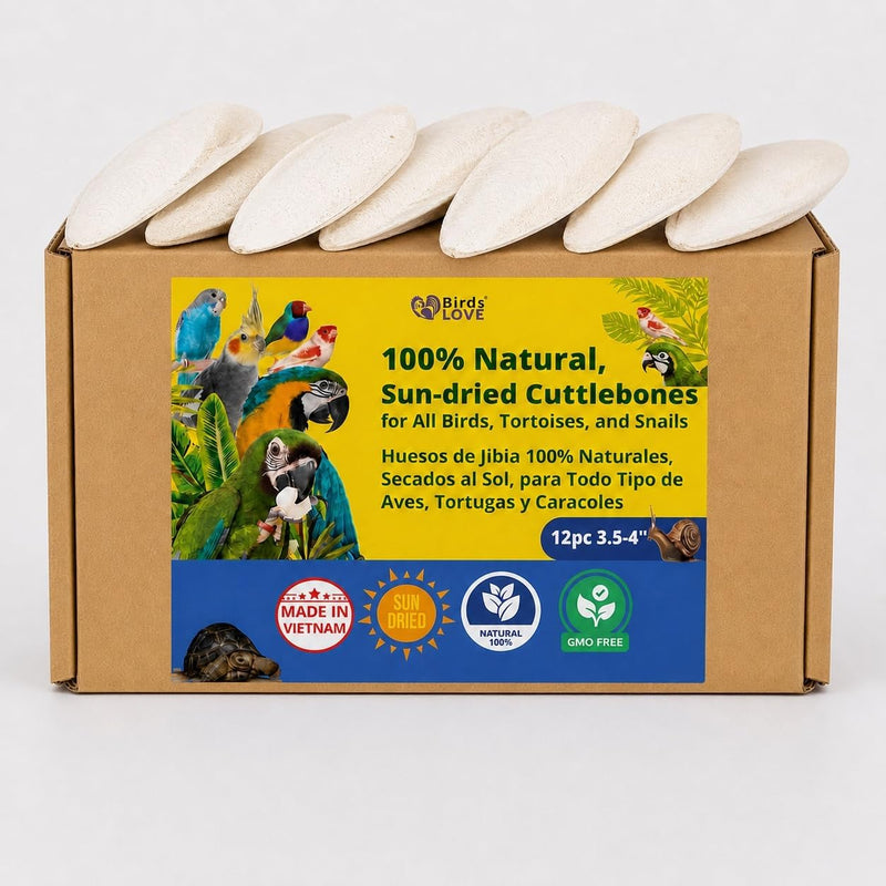Birds LOVE Natural Cuttlebone - 12 Pack, 3.5-4"