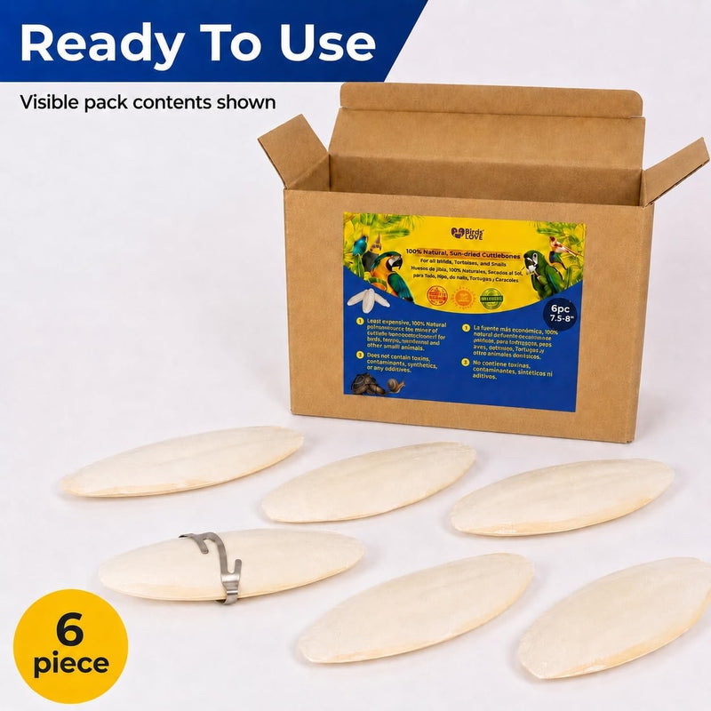 Birds LOVE Natural Cuttlebone - 6 Pack, 7.5-8"