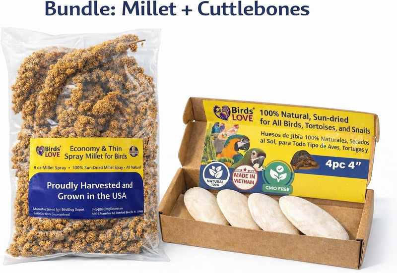 Farm to Feathers Bird Economy Millet & Cuttlebone Bundle - USA Grown Millet Sprays for Parakeets, Budgies, Cockatiels, Finches & Canaries - 9 oz (Pack of 1) + 4" Cuttlebone (4 Pack)