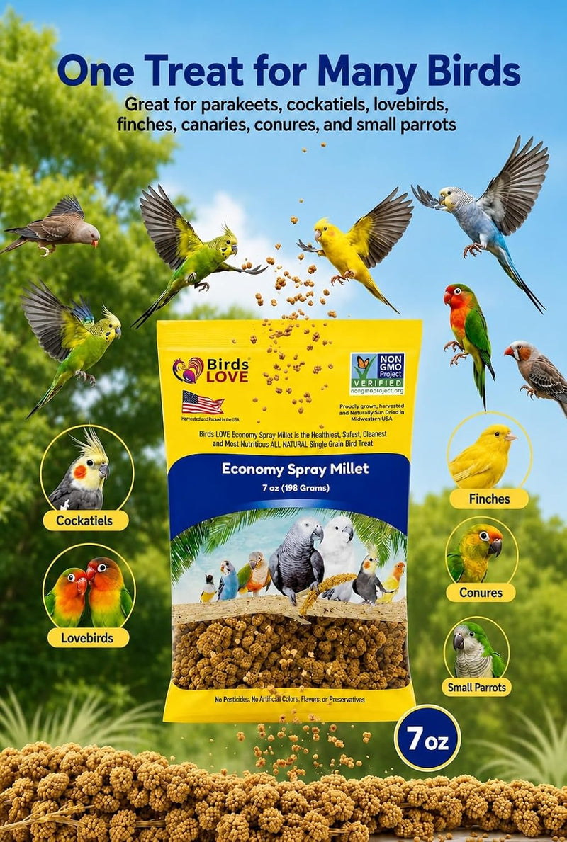 Birds LOVE Economy Spray Millet for Birds, 7 oz, GMO-Free Natural Millet Spray Treat, Stem-Reduced Edible Tops, Grown in USA, for Parakeets, Cockatiels, Lovebirds, Finches, Canaries & Small Parrots