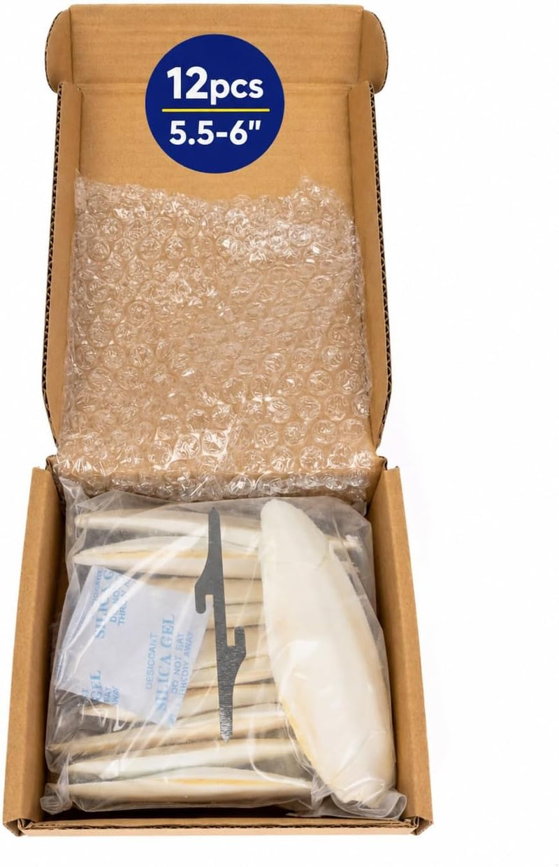 Birds LOVE Natural Cuttlebone - 12 Pack, 5.5-6"