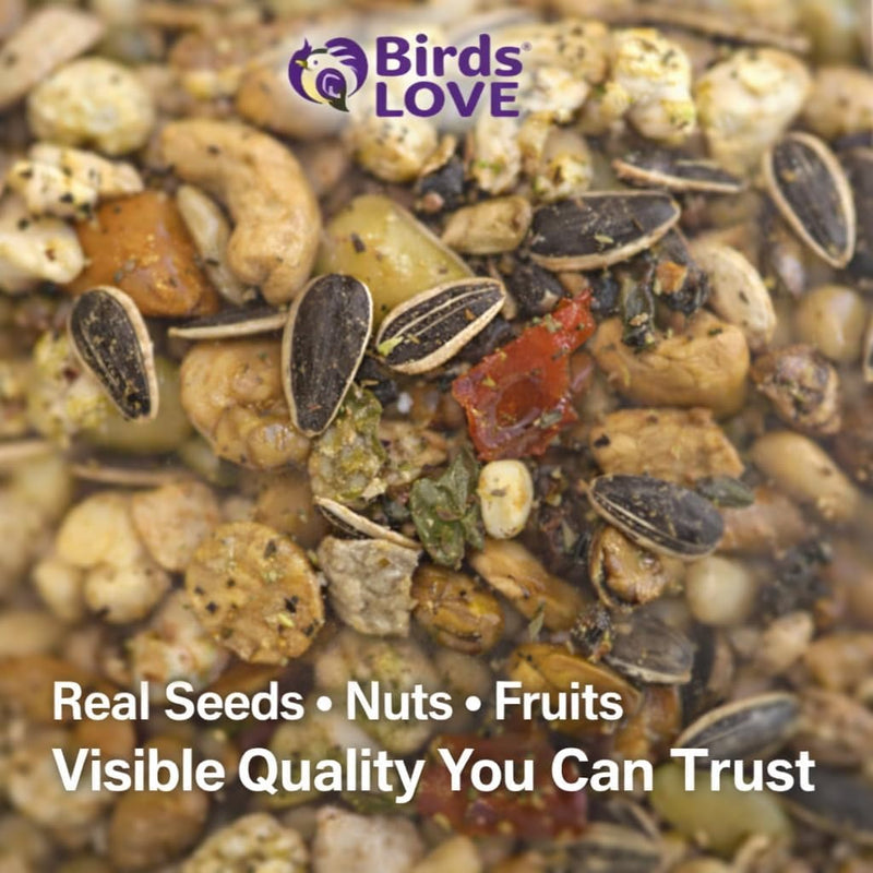 Birds LOVE Natural Garden Blend for Large Birds 6lbs