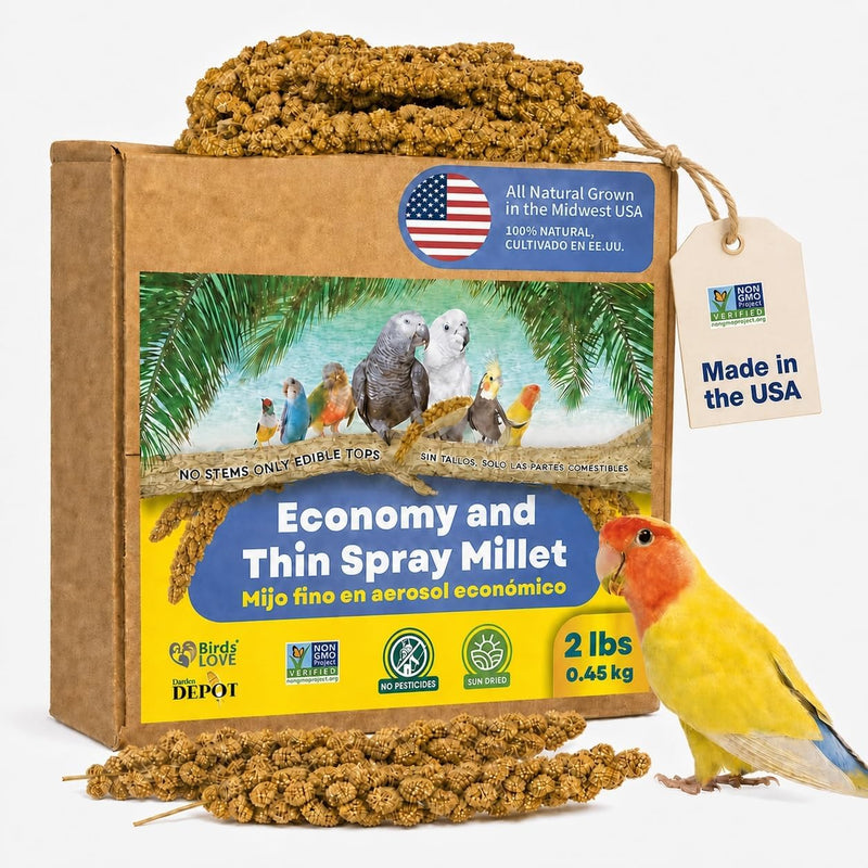2lbs Economy & Special Spray Millet for Birds - GMO-Free, No Stems (Only Edible Tops) - 100% Natural Sun-Dried Foraging Treat for Cockatiels, Lovebirds, Parakeets, Finches & Canaries