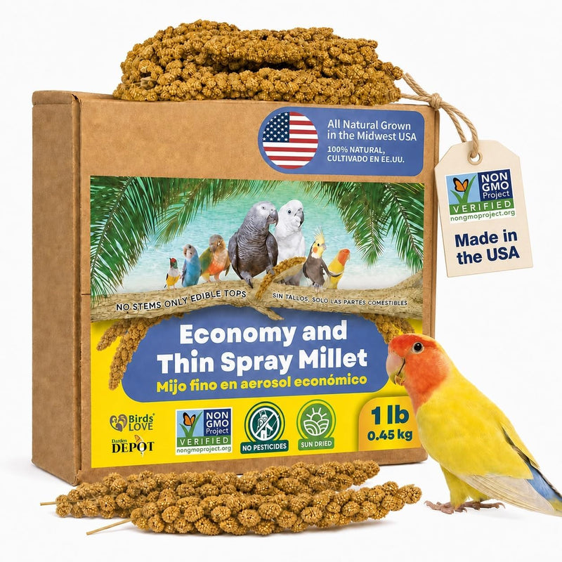 1lb Economy & Special Spray Millet for Birds - GMO-Free, No Stems (Only Edible Tops) - 100% Natural Sun-Dried Foraging Treat for Cockatiels, Lovebirds, Parakeets, Finches & Canaries