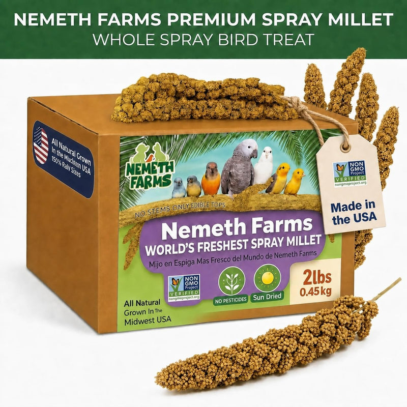 Nemeth Farms Spray Millet - Edible Tops Only, Non-GMO and Sun-Dried - 2 lbs for Cockatiels, Lovebirds and Budgies