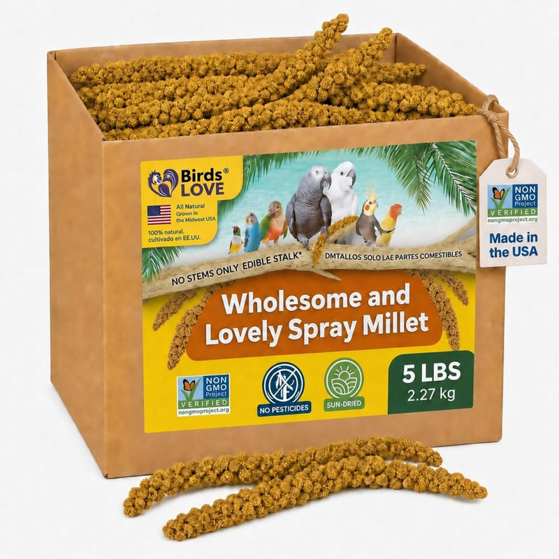 Birds LOVE 5 LB Wholesome Spray Millet for Birds - USA Grown, Non-GMO, Natural Sun-Dried Millet Sprays - Thick Seed-Rich Clusters for Parakeets, Budgies, Cockatiels, Conures, Finches & Parrots