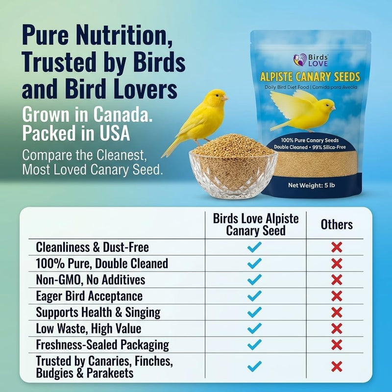 Birds LOVE Pure Alpiste Canary Seed Double Cleaned 5lb