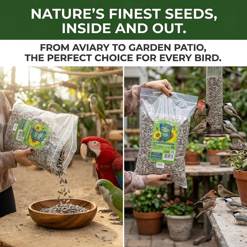 Nemeth Farms Striped Sunflower Seeds for Birds - 5 lb Bag