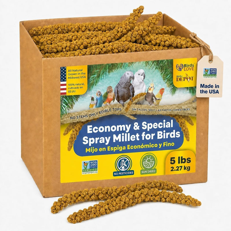 5lbs Economy & Special Spray Millet for Birds - GMO-Free, No Stems (Only Edible Tops) - 100% Natural Sun-Dried Foraging Treat for Cockatiels, Lovebirds, Parakeets, Finches & Canaries