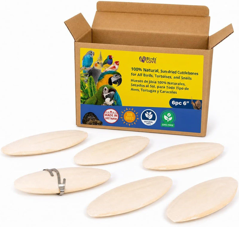 Birds LOVE Natural Cuttlebone - 6 Pack, 5.5-6"