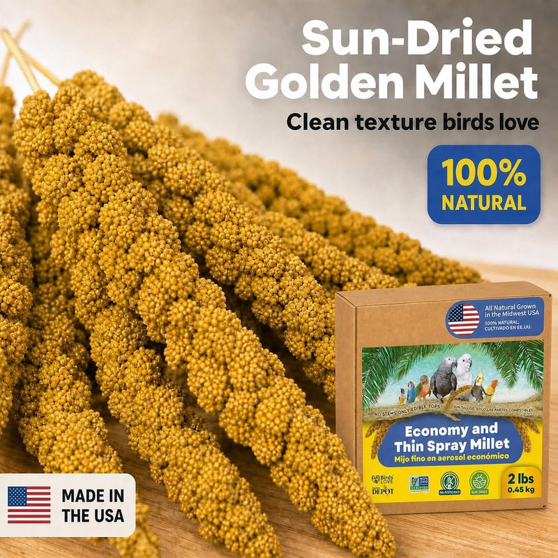 2lbs Economy & Special Spray Millet for Birds - GMO-Free, No Stems (Only Edible Tops) - 100% Natural Sun-Dried Foraging Treat for Cockatiels, Lovebirds, Parakeets, Finches & Canaries
