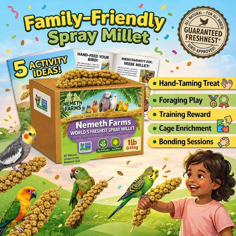 Nemeth Farms Spray Millet - Edible Tops Only, Non-GMO and Sun-Dried - 1 lb for Parakeets, Canaries and Finches