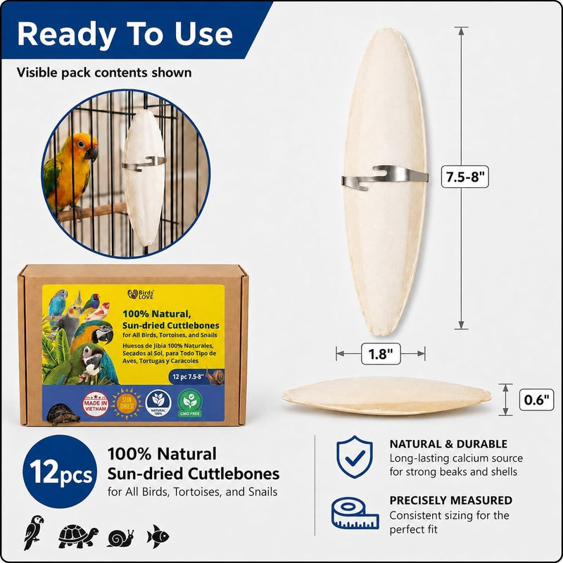 Birds LOVE Natural Cuttlebone - 12 Pack, 7.5-8"