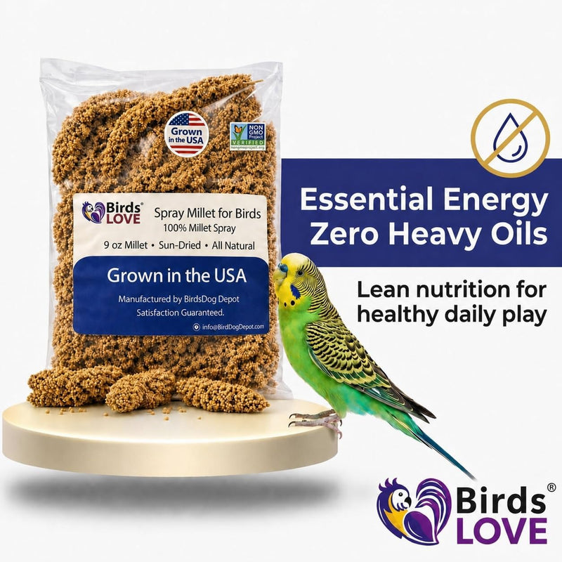 9 oz Economy Spray Millet - GMO-Free, No Stems, Natural Sun-Dried