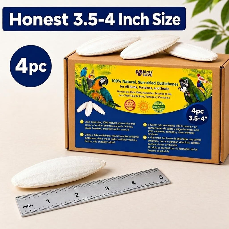 Birds LOVE Natural Cuttlebone - 4 Pack, 3.5-4"