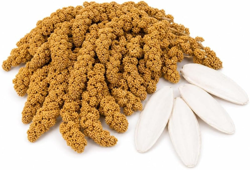 Farm to Feathers Wholesome Spray Bird Millet & Cuttlebone Bundle - USA Grown Millet Sprays for Parakeets, Budgies, Cockatiels, Finches & Canaries - 2 lb Wholesome Millet + 4" Cuttlebone (4 Pack)