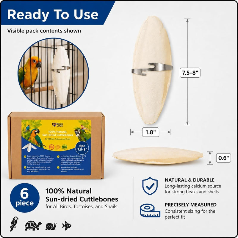 Birds LOVE Natural Cuttlebone - 6 Pack, 7.5-8"