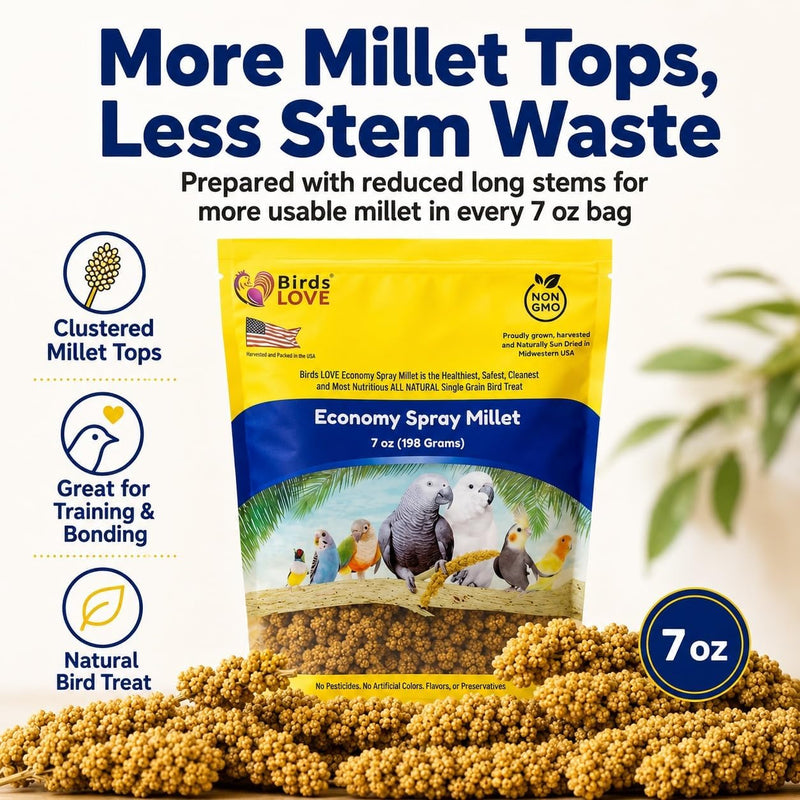 Birds LOVE Economy Spray Millet for Birds, 7 oz, GMO-Free Natural Millet Spray Treat, Stem-Reduced Edible Tops, Grown in USA, for Parakeets, Cockatiels, Lovebirds, Finches, Canaries - Pack of 2