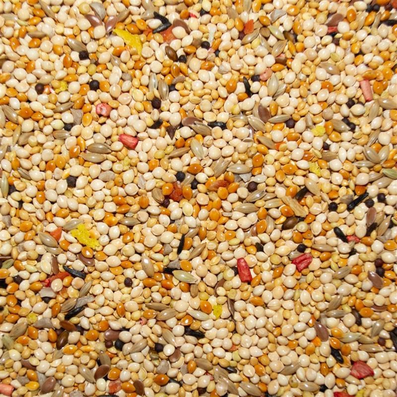 Volkman Avian Science Finch Bird Food 4lbs