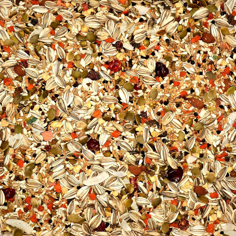 Volkman Avian Science Eclectus Bird Food 8lb
