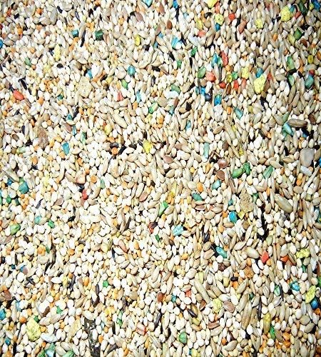 ABBA 1900 Exotic Finch Food 5lbs