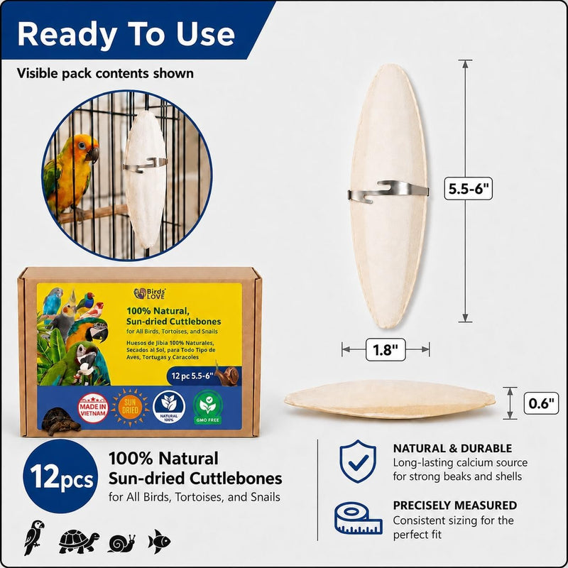 Birds LOVE Natural Cuttlebone - 12 Pack, 5.5-6"
