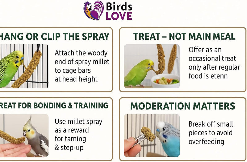 Birds LOVE 25lbs French Kissed Spray Millet for Birds - Non-GMO, Harvested & Packed in the USA - Natural Sun-Dried Millet with Stems for Parakeets, Cockatiels, Conures, Parrots & Budgies