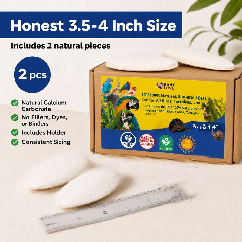 Birds LOVE Natural Cuttlebone - 2 Pack, 3.5-4"