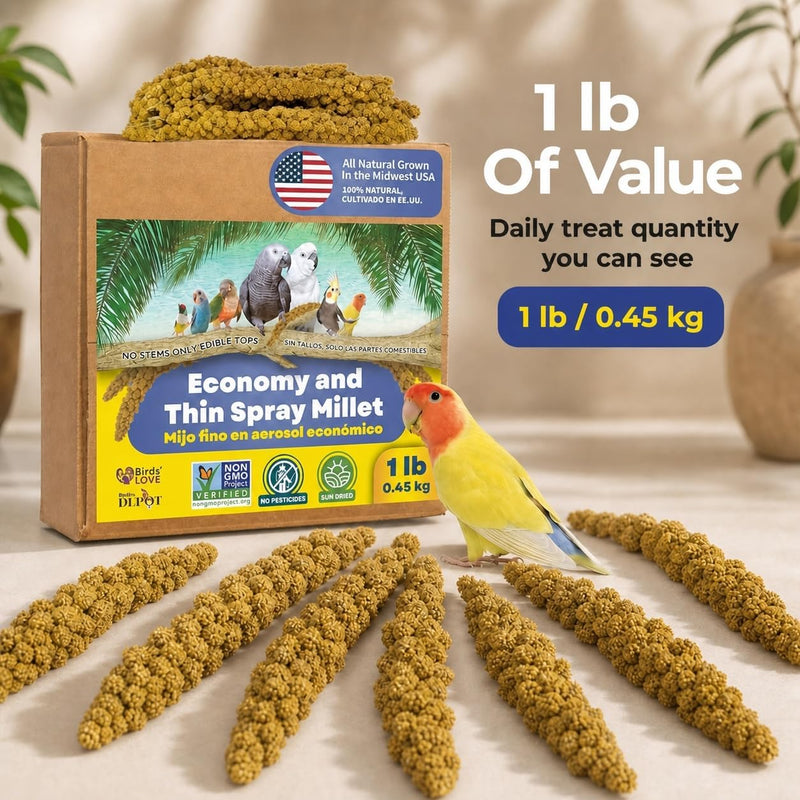 1lb Economy & Special Spray Millet for Birds - GMO-Free, No Stems (Only Edible Tops) - 100% Natural Sun-Dried Foraging Treat for Cockatiels, Lovebirds, Parakeets, Finches & Canaries