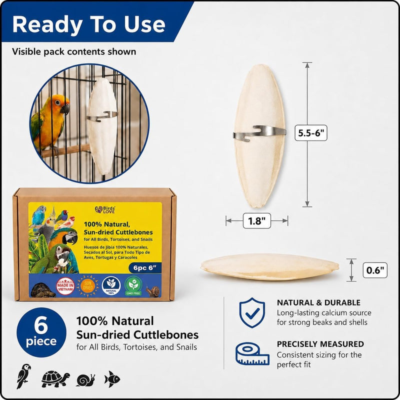 Birds LOVE Natural Cuttlebone - 6 Pack, 5.5-6"