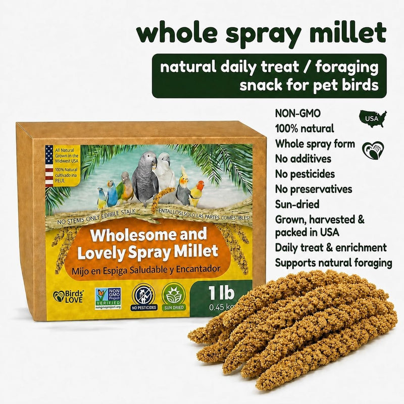 Birds LOVE 1 LB Wholesome Spray Millet for Birds - USA Grown, Non-GMO, Natural Sun-Dried Millet Sprays - Thick Seed-Rich Clusters for Parakeets, Budgies, Cockatiels, Conures, Finches & Parrots