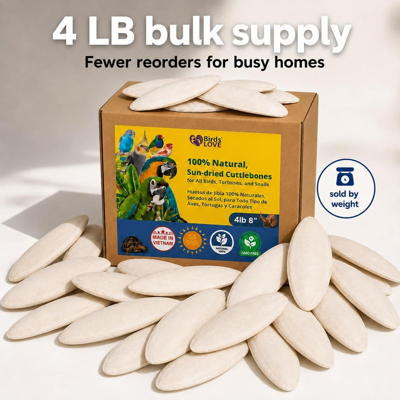 Birds LOVE Natural Cuttlebone - 4 lb bulk, 7.5-8"