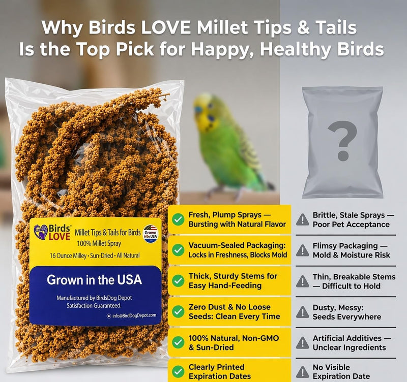 Birds LOVE Millet Tips & Tails for Birds - Spray Millet Treat, Non-GMO, USA Grown - Natural Bird Food for Parakeets, Cockatiels, Budgies, Lovebirds, Finches, Canaries & Parrots - 1 lb, 2 Pack