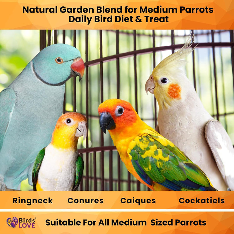 Birds LOVE Natural Garden Blend for Medium Birds 4lbs